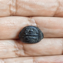 พระคงจิ๋วหลวงปู่พริ้งวัดบางปะกอก