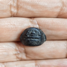 พระคงจิ๋วหลวงปู่พริ้งวัดบางปะกอก