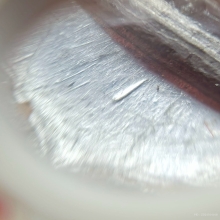 เหรียญ 25 ศรรควรรต ปี 2500 บล็อค มีเข็ม นิยม 