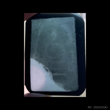 พระสมเด็จบางขุนพรหม พิมพ์เส้นด้ายใหญ่