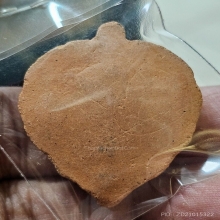 พระใบโพธิ์หลวงพ่อลี วัดอโศการาม สวยเดิม