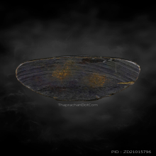 พระกริ่งหลวงพ่อโสธรปี 2508 หน้าสรพงษ์นิยม