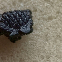 พระพิฆเนศจิ๋ว หลวงปู่หงษ์ วัดเพชรบุรี ปี 2553 