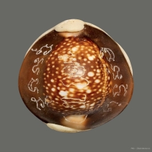 เบี้ยแก้ หลวงพ่อวิรัตน์ วัดหนองฝ้าย กาญจนบุรี(2)