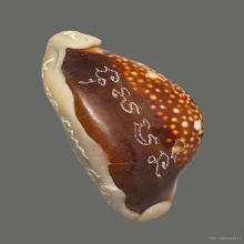 เบี้ยแก้ หลวงพ่อวิรัตน์ วัดหนองฝ้าย กาญจนบุรี(2)