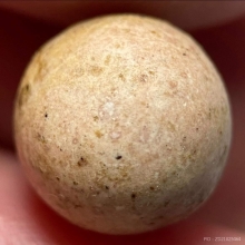 ลูกอมหลวงพ่อแก้ว วัดป่าฝ้าย (วัดบ่อฝ้าย) 