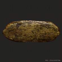 กัณหาชาลีวัดบางไกรนอกรุ่นแรก ปี2491