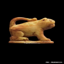 เสือหลวงพ่อเฮง วัดเขาดิน จ.นครสวรรค์