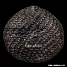 ๑ในเบญจภาคีเครื่องราง เบี้ยแก้ หลวงปู่รอด วัดนายโรง