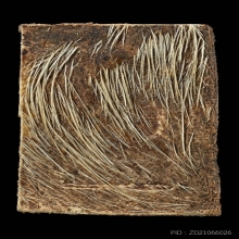 พระสมเด็จหนังควายเผือก หลวงพ่อนวล วัดไก่เตี้ย ตลิ่งชัน กทม. 