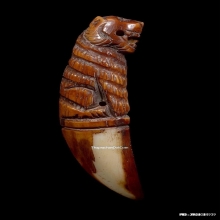 เขี้ยวเสือแกะหลวงปู่กาหลง วัดเขาแหลม จ.สระแก้ว