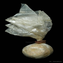 ลูกอมแม่เนื้อหอม หลวงพ่อผินะ วัดสนมลาว จ.สระบุรี