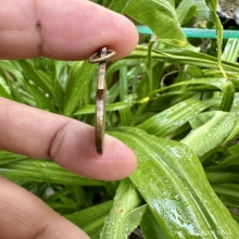 เหรียญอาร์มหลวงพ่อแดง-หลวงพ่อเจริญ วัดพลับพลาชัย 2514