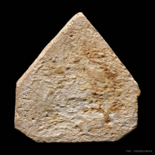 พระกลีบบัว หลวงปู่โต๊ะ วัดประดู่ฉิมพลี รุ่นแรก ปี2468