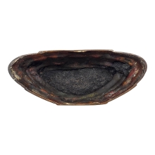 พระกระฐินต้น ภ.ป.ร. 2506