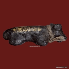 วัวธนู ครูบาคำแสน รุ่น 1 วัวธนูยอดนิยมอันดับ1ล้านนา