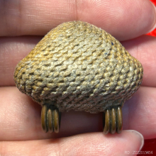 >>>..,เบี้ยแก้ อ.เจือ วัดกลางบางแก้ว พร้อมบัตรเซอร์ฯ