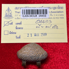 >>>..,เบี้ยแก้ อ.เจือ วัดกลางบางแก้ว พร้อมบัตรเซอร์ฯ