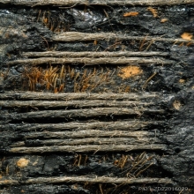 “ตะกรุดหนังหน้าผากเสือ4รางวัล“หลวงพ่อเที่ยง ม่วงชุม