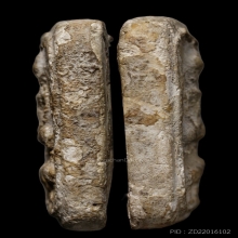 +บัตรสมาคม พระกรุวัดคู้สลอด พิมพ์ขี่เม่น