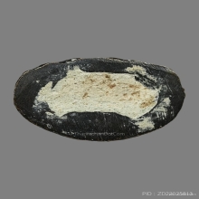 พระพิฆเนศท่านเจ้าคุณศรีสนธิ์ออกเทวสถานโบสถ์พราหมณ์