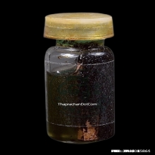 รัก-ยมแช่น้ำมันพราย อ.เปล่ง บุญยืน