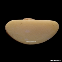 ปู่เจ้าสมิงพรายวราปราการ รุ่นแรก เนื้อกระดูกอาถรรพ์ ปี2545