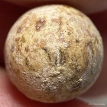 ลูกอมหลวงพ่อคง วัดบางกะพ้อม จ.สมุทรสงคราม