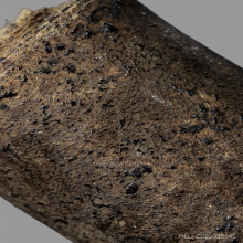 ตะกรุดกระดาษสา หลวงปู่ยิ้ม วัดหนองบัว