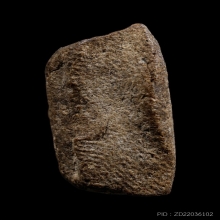 +บัตรสมาคม หลวงปู่ทวดนวล วัดตุยงค์ เนื้อว่าน