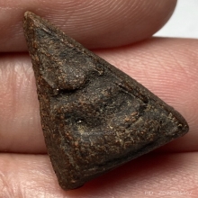 พระนางพญาหลวงพ่อพริ้ง วัดบางปะกอก กทม. เนื้อว่านชานหมาก