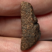 พระนางพญาหลวงพ่อพริ้ง วัดบางปะกอก กทม. เนื้อว่านชานหมาก