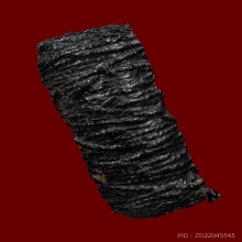 ตะกรุดหนังหน้าผากเสือ หลวงปู่บุญ วัดกลางบางแก้ว