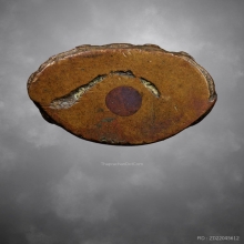 พระกริ่งวัดวังกระโจม​ ปี2508​ เจ้าคุณนรฯ​ปลุกเสก​