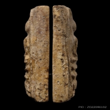 +บัตรสมาคม สมเด็จวัดระฆัง100ปี ไข่ปลาใหญ่ แช่น้ำมนต์