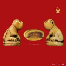 เสือหลวงพ่อปาน พิมพ์หุบปาก(จารขน）