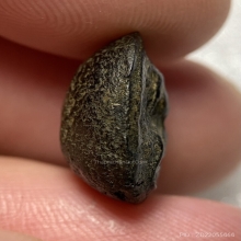 พระปิดตา เนื้อผงคลุกรักเก่า (ลึกลับไม่ทราบที่)