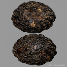 ลูกอม ชากหมาก หลวงพ่อทบ วัดชนแดน ยุคแรก 