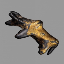 วัวธนู เนื้อคลั่ง เก่า จารย์ โบราณ 