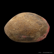 +บัตรสมาคม ลูกอมมหากันบ้านมีดี พ่อป่อง