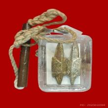 รูปหลังนกสาริกา ลพ.เคน วัดถ้ำเขาอีโต้