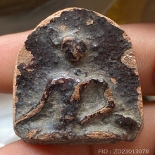 กรุกระชายแผงใหญ่ตัด