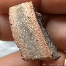 กรุกระชายแผงใหญ่ตัด