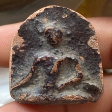 กรุกระชายแผงใหญ่ตัด