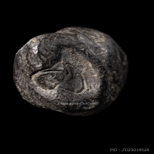 พระกริ่งคลองตะเคียน