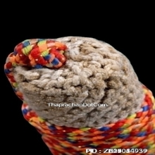 ตะกรุดหนังเสือหลวงพ่อตาบ วัดมะขามเรียง จ.สระบุรี