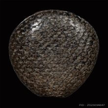 เบี้ยแก้ หลวงปู่รอด วัดนายโรง