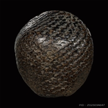 เบี้ยแก้ หลวงปู่รอด วัดนายโรง