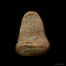 พระนางพญาวังมะสระ เนื้อดิน กรุวัดวังมะสระ จ.พิษณุโลก