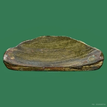 รูปเหมือนปั๊มหลังตรง รุ่นแรก หลวงพ่อโอด วัดจันเสน พ.ศ.๒๕๒๔ 